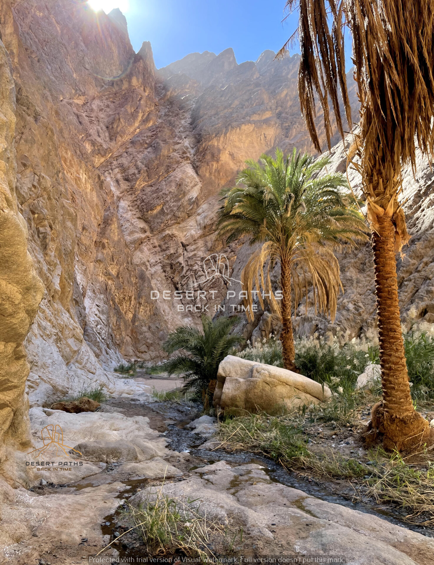 Real Mount Sinai Saudi Arabia Journeys Desert Paths Explore Lands NEOM EXODUS MIDIAN INCENSE FRANKINCENSE HIJAZ HEJAZ Split Rock Golden Calf Altar Elim Oasis Red Sea Crossing
