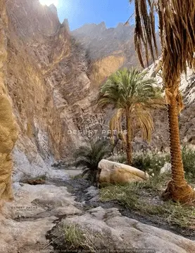 wadi-tayyb-ism-wm-min-2-2-min